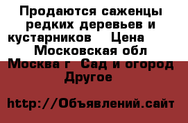 Продаются саженцы редких деревьев и кустарников  › Цена ­ 300 - Московская обл., Москва г. Сад и огород » Другое   